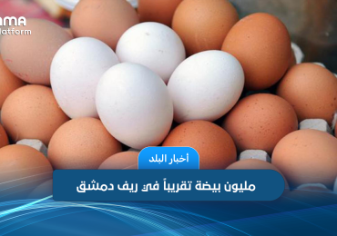 مليون بيضة تقريباً في ريف دمشق