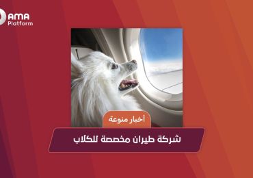 Dog-Dedicated Airline